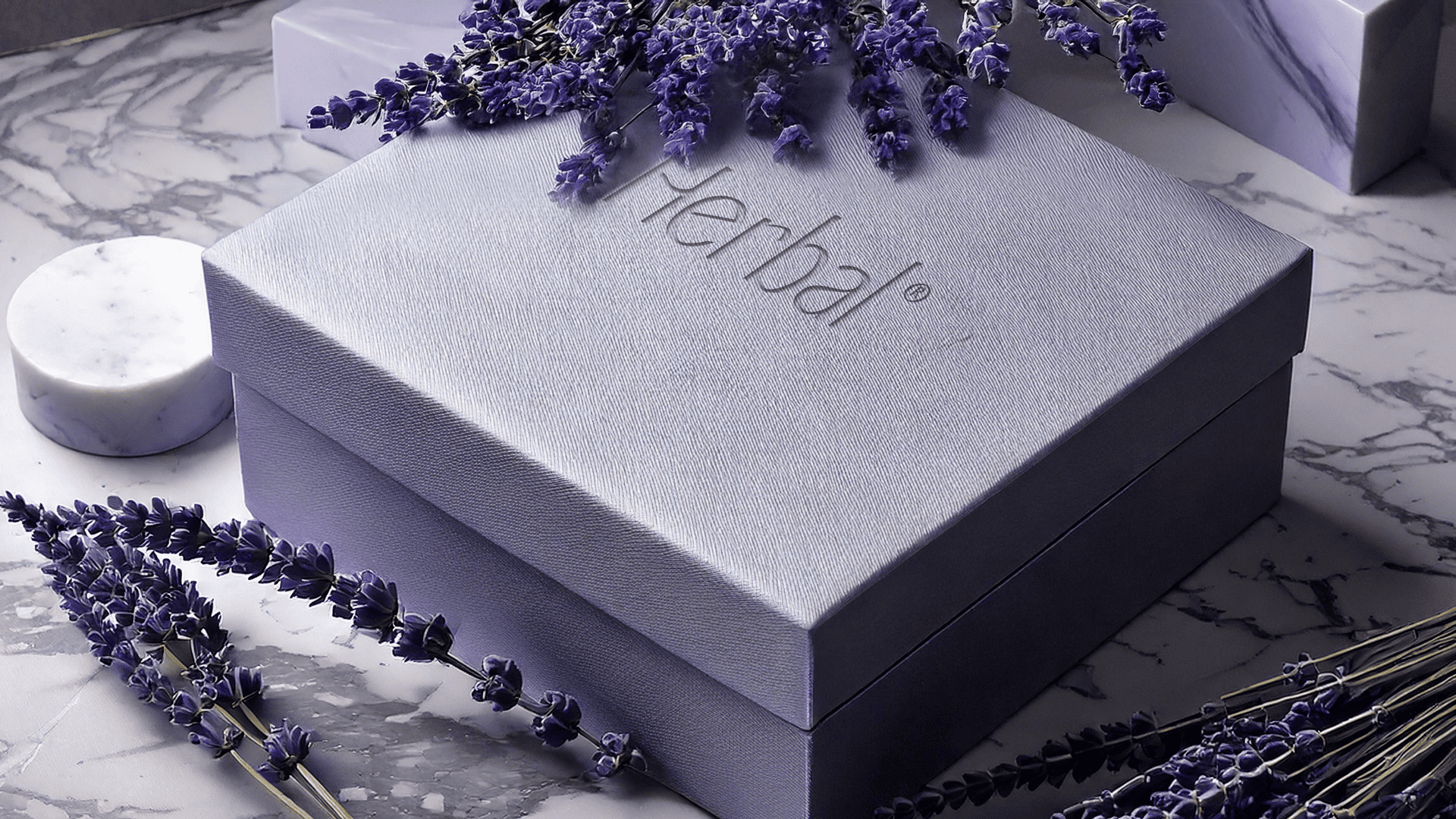 Galatea typeface examples architecture magazine