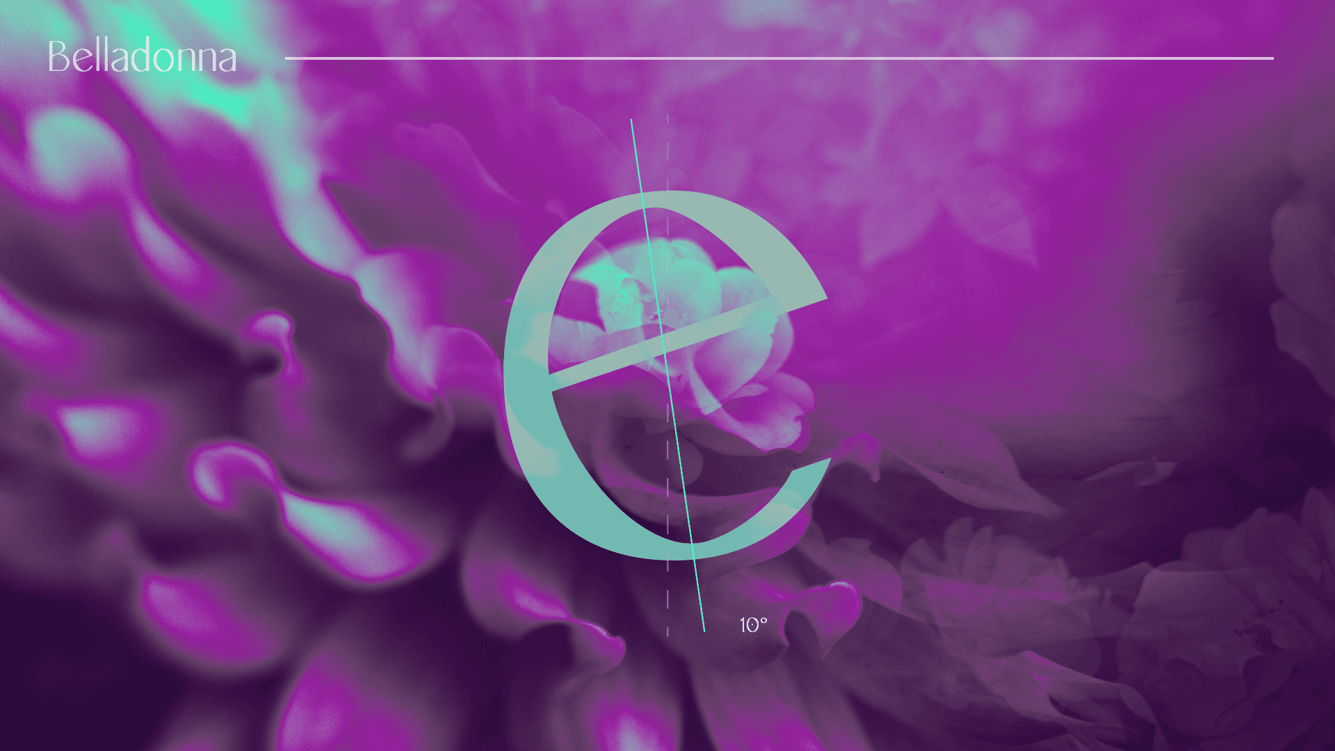 Galatea typeface examples architecture magazine