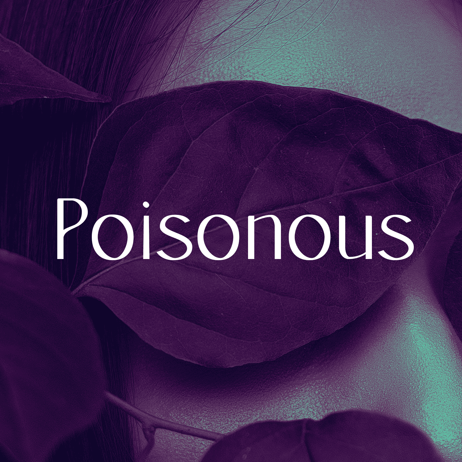 Galatea typeface examples architecture magazine